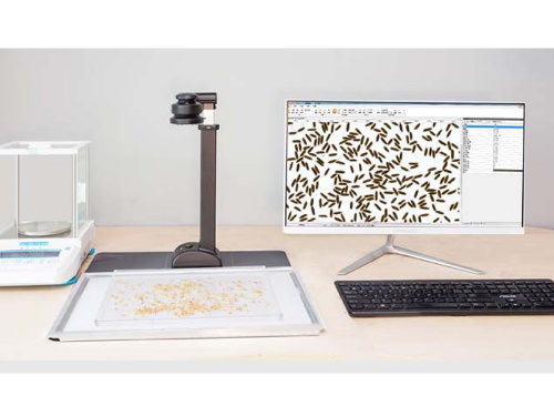 我們的優(yōu)勢1